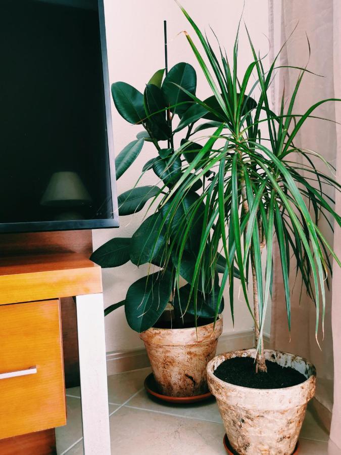 Kintsugi House Лагос Екстериор снимка